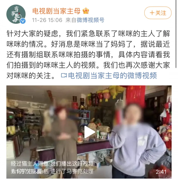 一隻貓，讓《當家主母》的評分一降再降