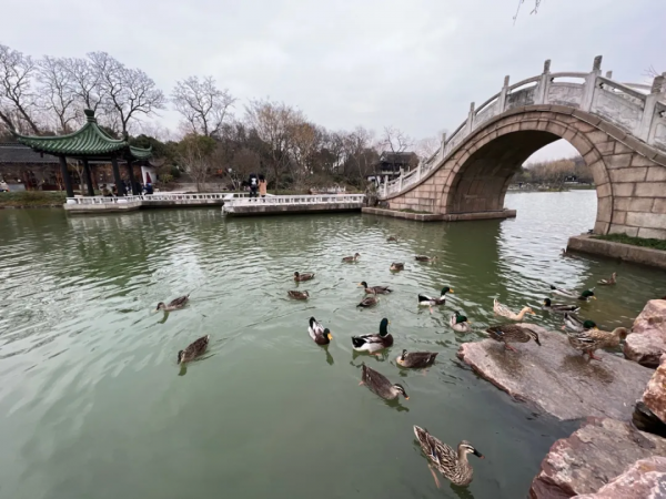 2022年的第一天，我們把長三角41座城市的太陽看了個遍