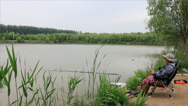 釣友自述:一時衝動買了8.1米大物竿,現在卻後悔的不要不要的 釣友自述:一時衝動買了8.1米大物竿,現在卻後悔的不要不要的