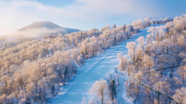 北方初雪美遍全網，國內這10個賞雪最佳城市，此生一定要去一次