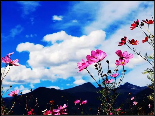 西藏我來了,來到父親的第二故鄉…… 西藏我來了,來到父親的第二故鄉……