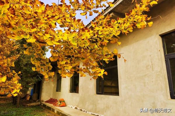 七首相思詞,寫不盡相思句,流不盡相思淚 七首相思詞,寫不盡相思句,流不盡相思淚