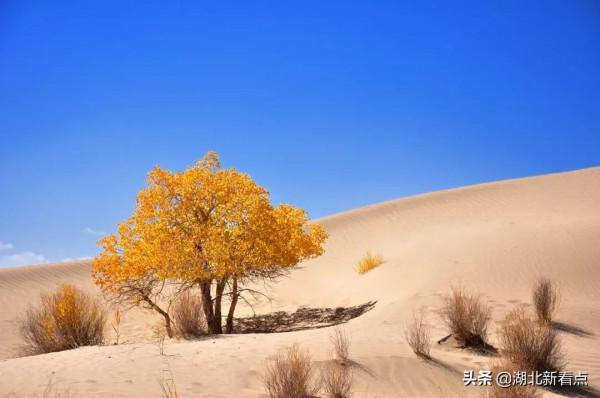 青海，你可以去100次