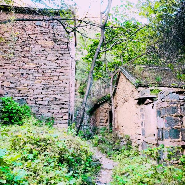 “封門村”傳聞是真的嗎?專家:有科學解釋 “封門村”傳聞是真的嗎?專家:有科學解釋