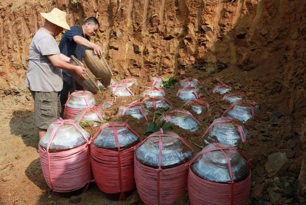 儲存白酒的竅門，不會“跑酒”，越陳越香，家裡白酒多要學會