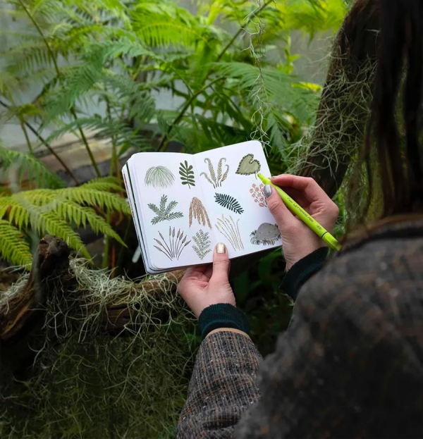 手繪｜邊走邊畫，她的速寫本里裝滿了四季的風景