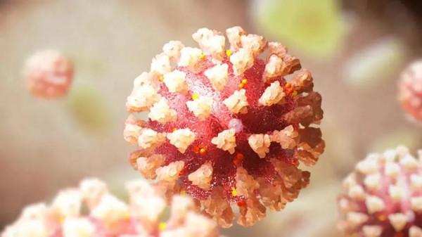 研究：COVID-19的遮蔽策略效果不如預期