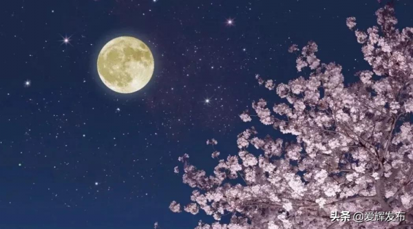 【網路中國節·中秋】今日中秋 | 但願人長久 千里共嬋娟