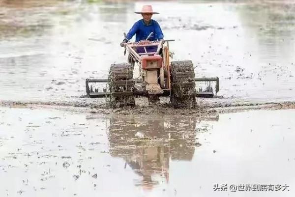 68張照片，帶你見識泰國，不為人知的一面
