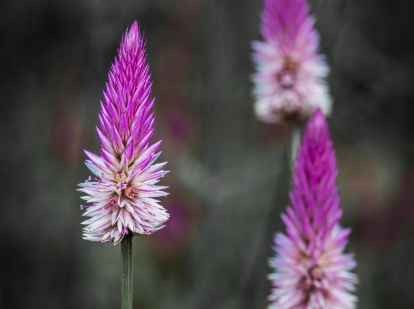 不留遺憾的人生，唯有努力