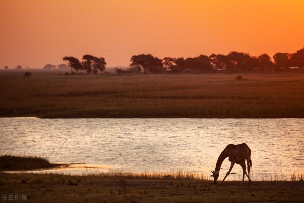 我在東非坦尚尼亞追尋動物的足跡，告訴你不一樣的動物王國（2）