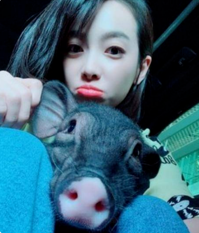 爆某劇組殺青遺棄“小生命”，站在門口等待惹人疼，網友怒斥缺德