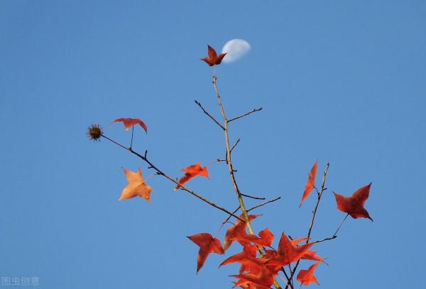 雅稱、代稱、它稱、別稱彙總(七) 雅稱、代稱、它稱、別稱彙總(七)