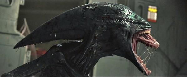 異形被高階外星種族奉為神，《普羅米修斯》完整版迷題解答