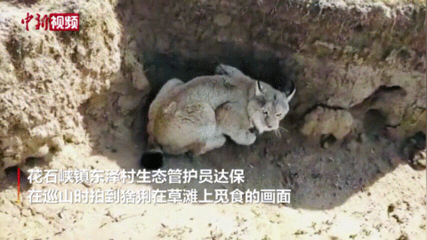 這輩子一定要去趟這個公園 在這裡“有種愛叫放手” 這輩子一定要去趟這個公園 在這裡“有種愛叫放手”