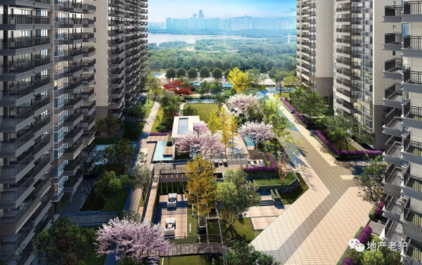 我家住五象，坐享三城區「成熟配套」