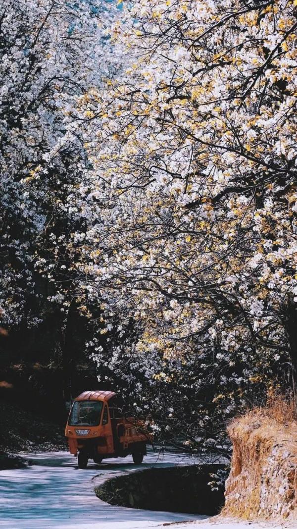 心力衰竭患者可以外出旅行嗎？來看看這些需要注意的點