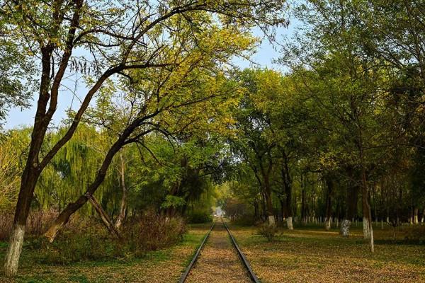 獨一無二！公園裡也能跑火車！京西這處免費的森林公園，值得玩