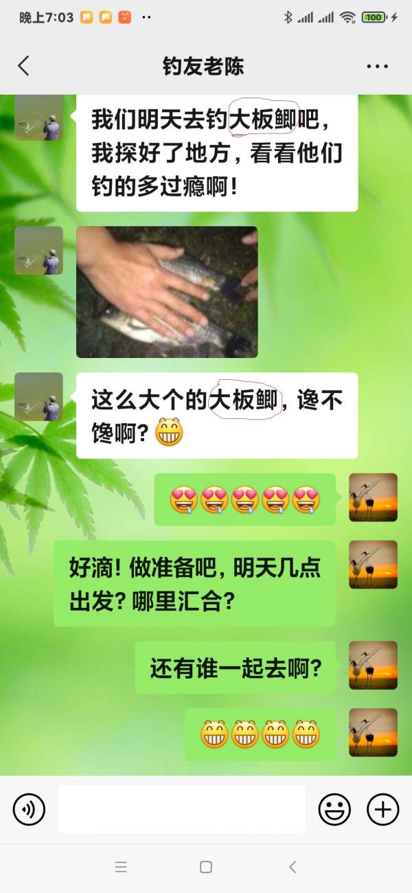 釣友們冬季垂釣的鯽魚，個體大的叫大板鯽還是大阪鯽？