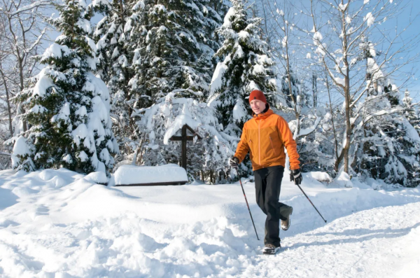 冬季“藏養”怎樣養才好呢? 冬季“藏養”怎樣養才好呢?