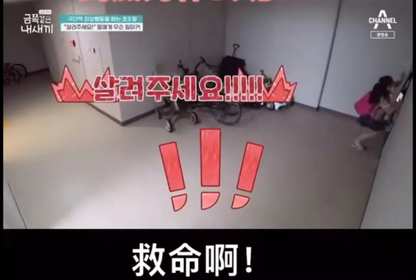 看這個韓國育兒節目好“窒息”，“高敏感”孩子的一天太難了