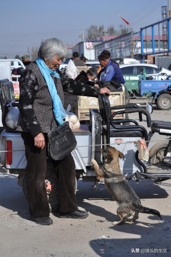 大娘從垃圾箱裡撿到“小野貨”,能辨別善與惡,老人:金山都不換 大娘從垃圾箱裡撿到“小野貨”,能辨別善與惡,老人:金山都不換