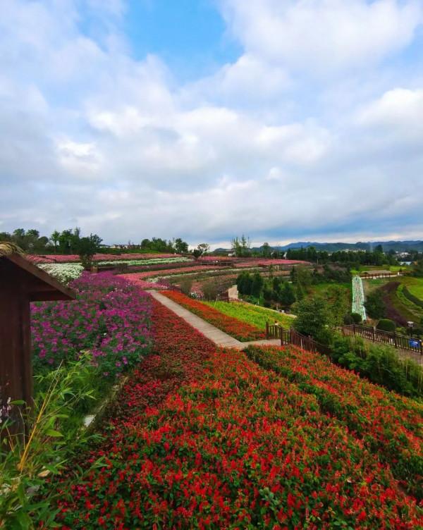 繽紛花海，果蔬採摘，房車露營......中秋出遊就來羊昌！