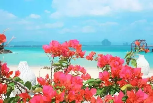 未來2個月,這些地方將美成天堂!再一場旅行,2021才完美 未來2個月,這些地方將美成天堂!再一場旅行,2021才完美