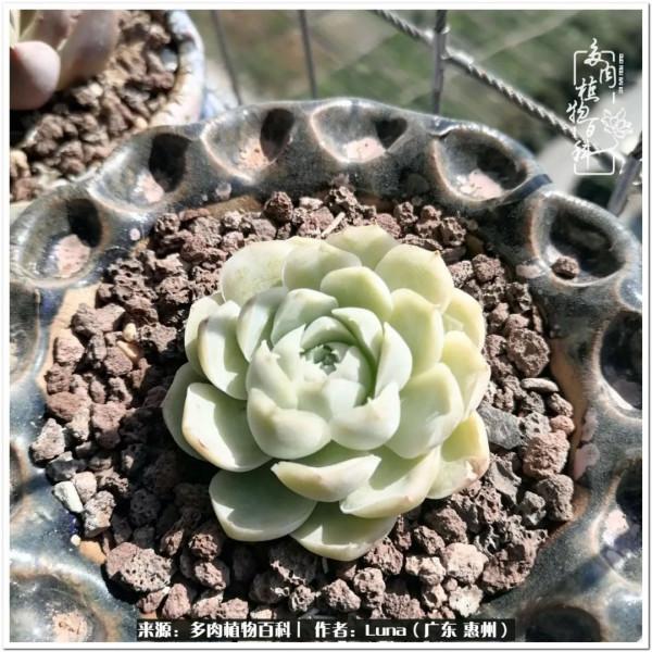 學會和解:與自己、與他人、與世界 學會和解:與自己、與他人、與世界