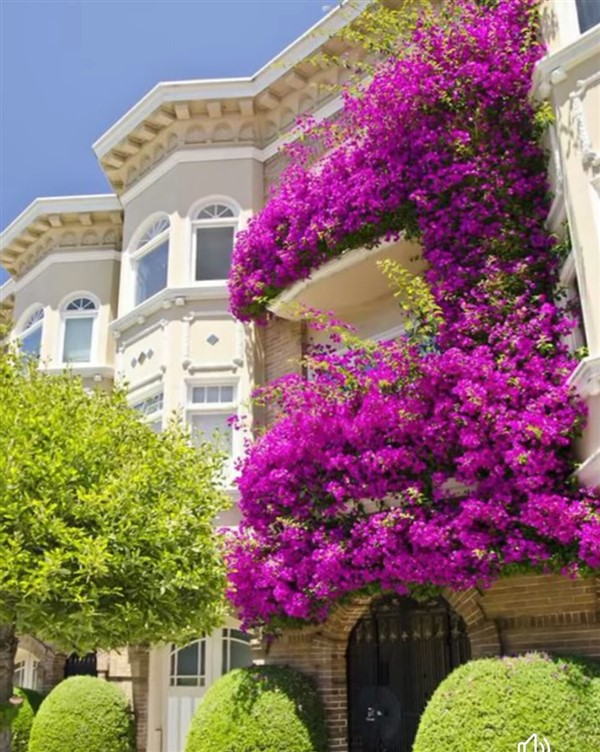 花園式窗臺，美得不像話，趕緊收藏起來