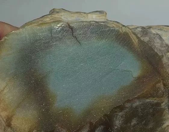 “沒有蒼蠅翅的翡翠統統都是假貨嗎？”不要再被騙了