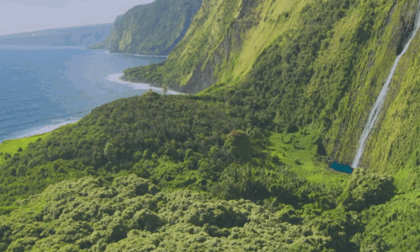 「萌新上手Mac」MacBook的這些優先設定，你都開啟了嗎