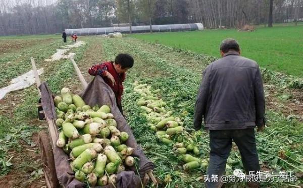 ​什麼是Web 3.0,它和元宇宙是什麼關係? ​什麼是Web 3.0,它和元宇宙是什麼關係?