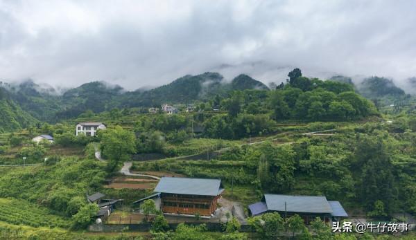 雙方交換人質,游擊隊計策實施成功 雙方交換人質,游擊隊計策實施成功