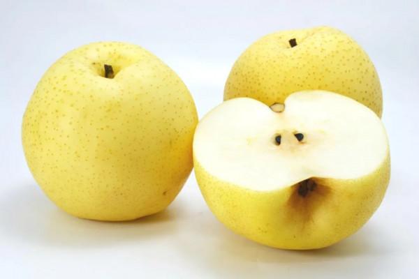 秋季養生,老中醫告訴你,秋季可以多吃這4類東西,大補且養生 秋季養生,老中醫告訴你,秋季可以多吃這4類東西,大補且養生