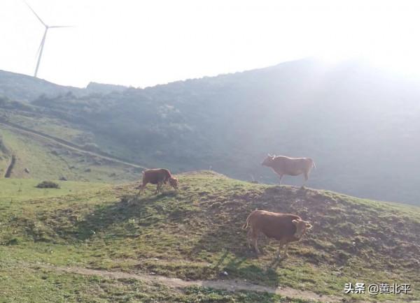 重慶有一條修建在山脊上的刀片天路，自駕愛好者何不來試試手腳