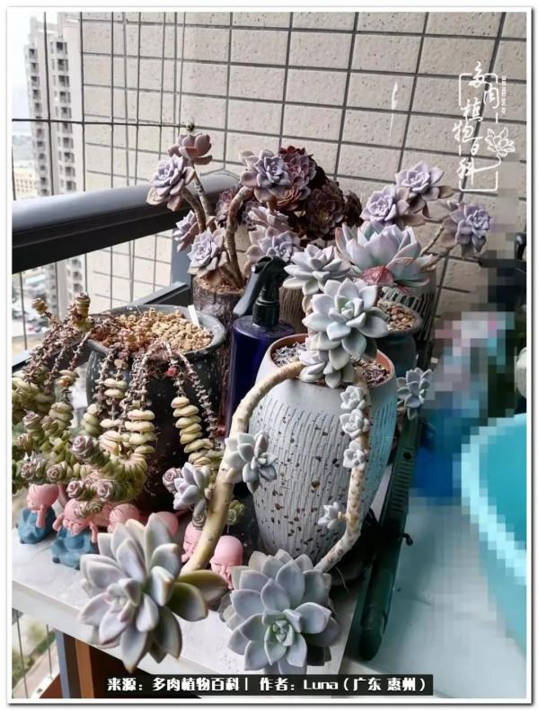 學會和解:與自己、與他人、與世界 學會和解:與自己、與他人、與世界