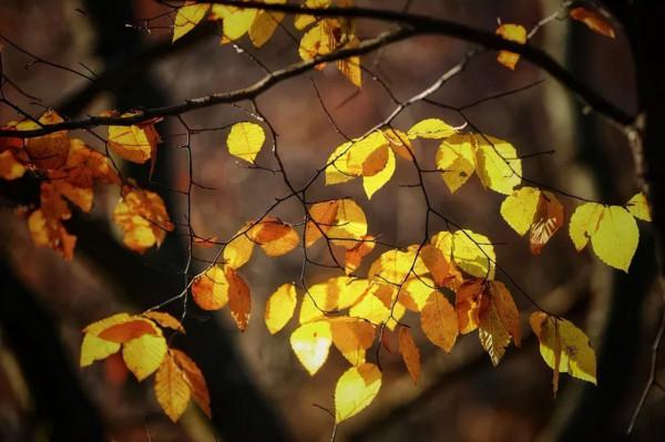 11月，國內這9個絕美山水之地，美成了一幅畫！隨手一拍都是桌布