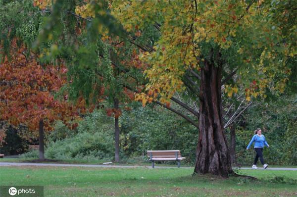 美國新澤西州公園秋色醉人 美國新澤西州公園秋色醉人
