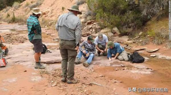 可能是首個此類化石！猶他州發現3億年前的骨骼化石