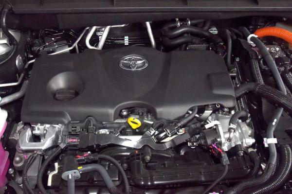 漢蘭達對比攬境 德味還是日料？