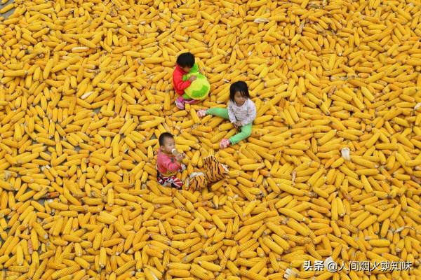 綿竹野史：玉皇觀原為龍太子修煉之所，農夫偶遇其真容被嚇得半死