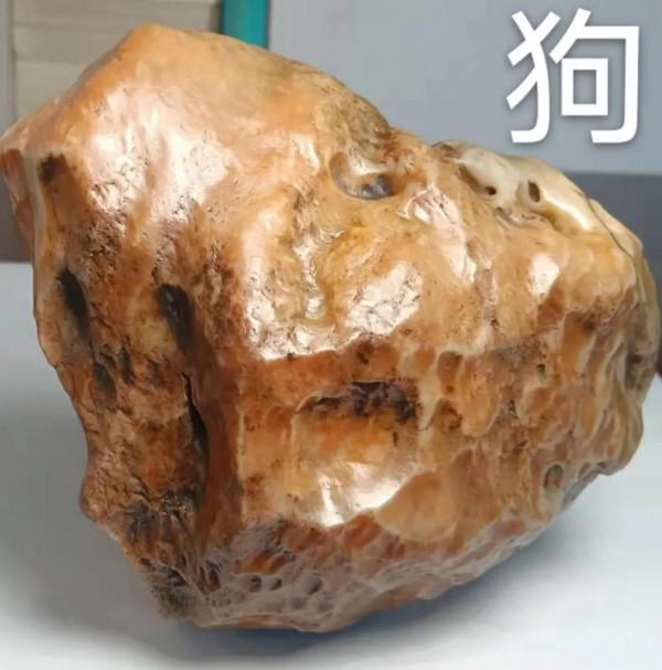 大自然的鬼斧神工，天造奇術，我們無法想象如此模樣，十二屬相