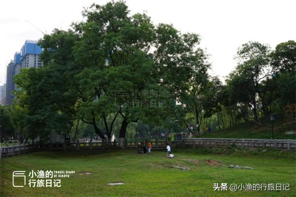 西安鬧市這片“荒地”,竟是唐朝長安城罕見的真實遺蹟,你知道嗎 西安鬧市這片“荒地”,竟是唐朝長安城罕見的真實遺蹟,你知道嗎