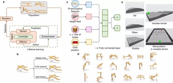 李飛飛團隊建立深度學習「遊樂場」：AI也在自我進化，細思極恐