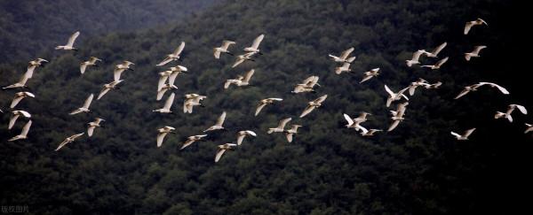別盲目學東西了，先構建自己的知識體系