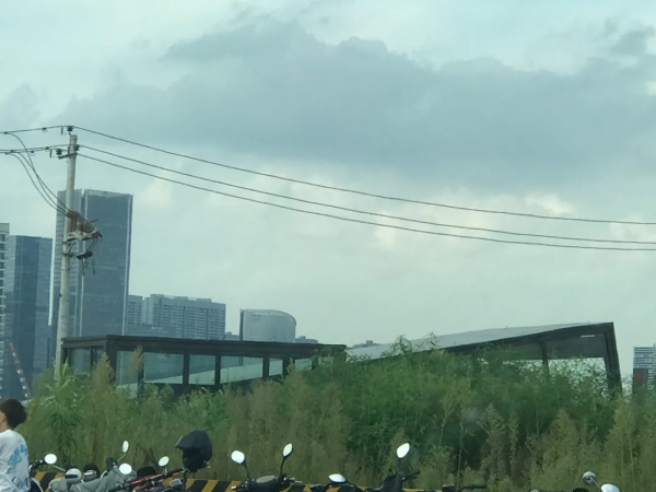 公示!華潤綠汀路TOD來了 公示!華潤綠汀路TOD來了