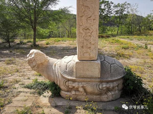 驚詫!京郊一古墓的“贔屓”居然回頭了 驚詫!京郊一古墓的“贔屓”居然回頭了