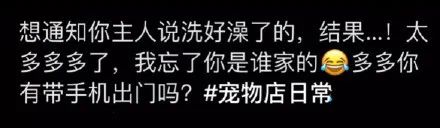 寵物店崩潰日常：太多“多多”了，你是哪家的多多