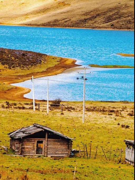 2月國寶級美景!不輸瑞士的神秘淨土,最早綻放的萬畝花海 2月國寶級美景!不輸瑞士的神秘淨土,最早綻放的萬畝花海